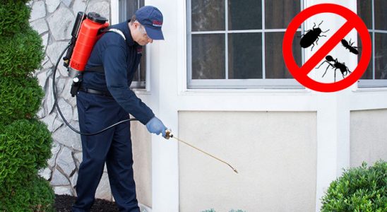 Gölköy Böcek İlaçlama böcek ilaçlama ve haşere kontrolü — ilaclama-tr.com